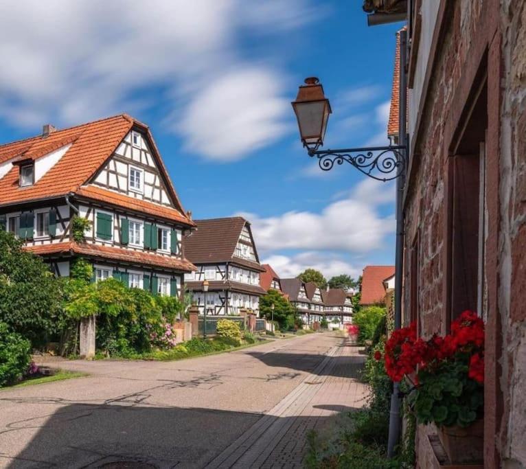 Au Petit Nid De Seebach Buitenkant foto