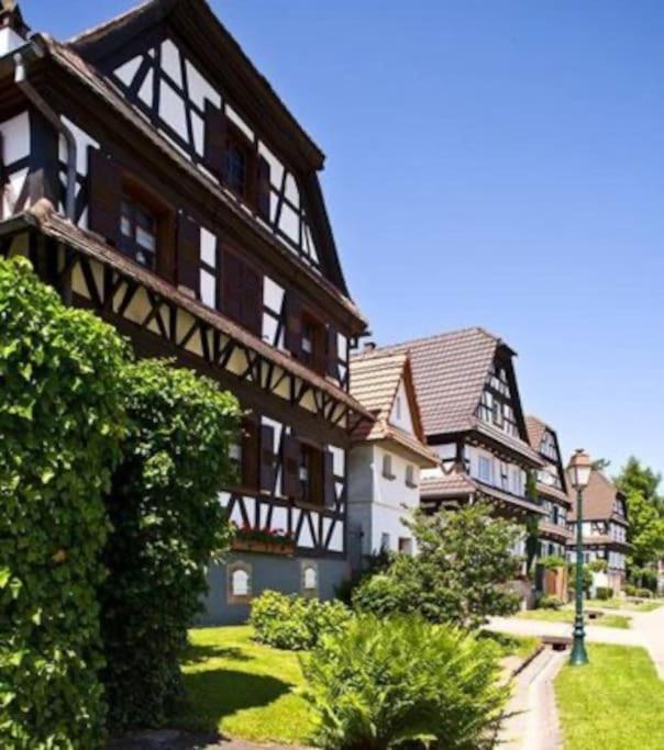 Au Petit Nid De Seebach Buitenkant foto